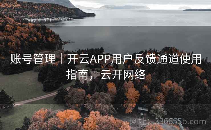 账号管理｜开云APP用户反馈通道使用指南，云开网络