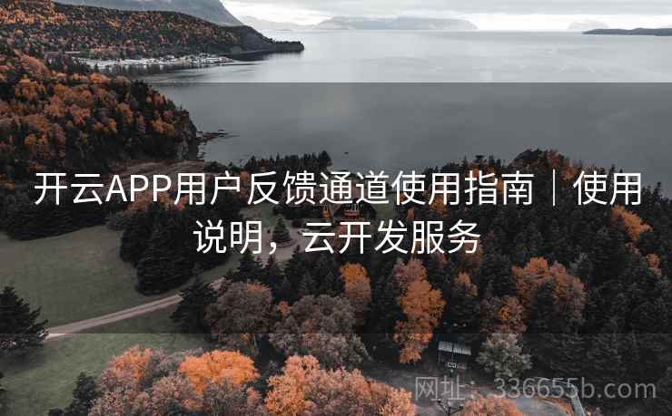 开云APP用户反馈通道使用指南｜使用说明，云开发服务
