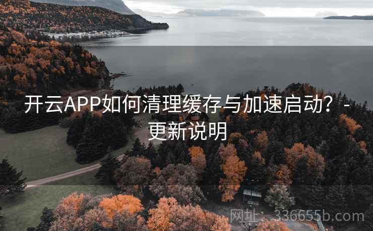 开云APP如何清理缓存与加速启动？-更新说明