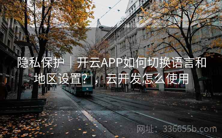 隐私保护｜开云APP如何切换语言和地区设置？，云开发怎么使用  第2张