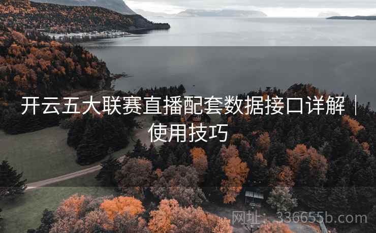 开云五大联赛直播配套数据接口详解｜使用技巧