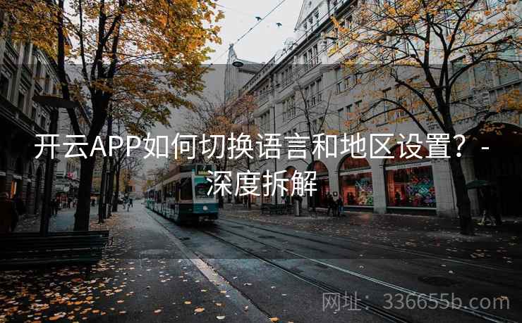 开云APP如何切换语言和地区设置？-深度拆解
