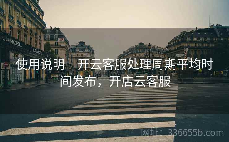使用说明｜开云客服处理周期平均时间发布，开店云客服  第2张