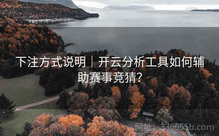 下注方式说明｜开云分析工具如何辅助赛事竞猜？